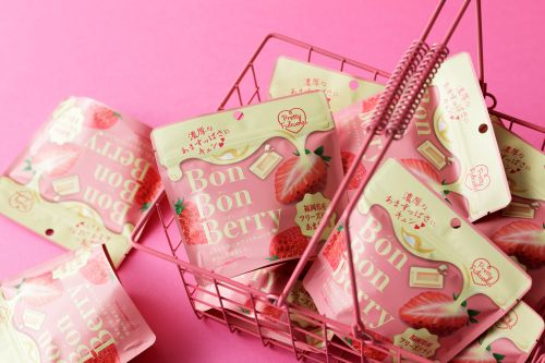 Pretty Fukuoka Bon Bon Berry｜人気の空弁・お土産満載！｜JAL PLAZA